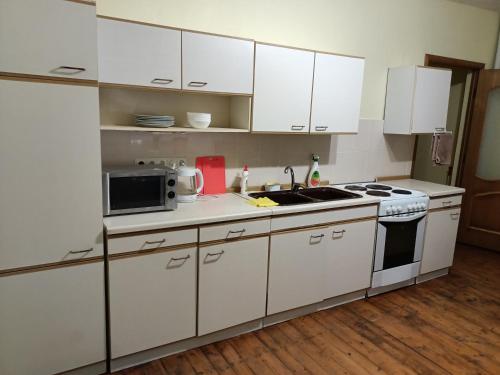 Krone Hostel in أوزهوجورود