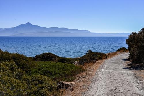 Nisea Hotel Samos