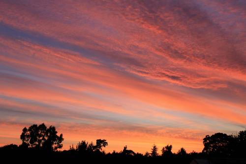 Lodge Farm - image 5