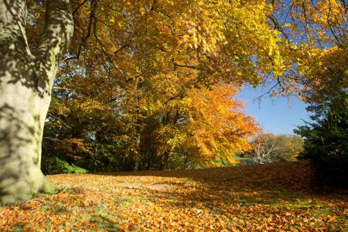 Lodge Farm - image 10