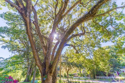 The Estate at Mt Dora