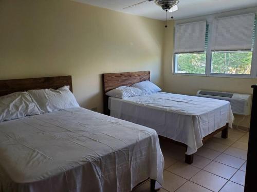 Beautiful beachside apartment w/ terrace, balcony. in קרולינה