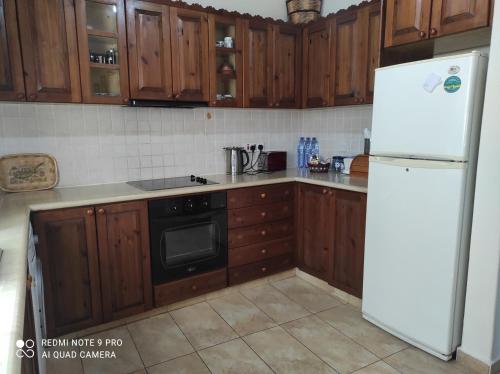 virtuve, Andrianna's Cottage in Pano Akourdaleia