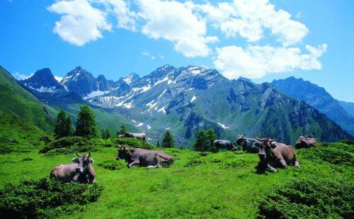 Schönes Studio im ruhigen Kaunertal