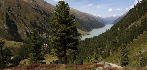 Schönes Studio im ruhigen Kaunertal