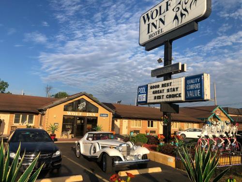 Wolf Inn Hotel - 숙소 외관