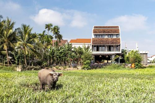 The An Retreat by Class6, Hoi An (foto 8)