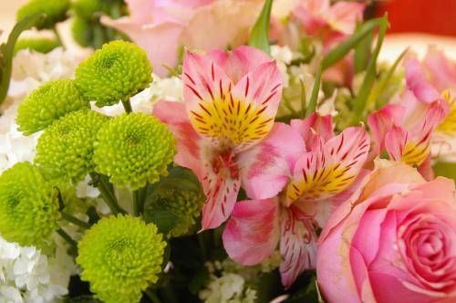 Hotel Spiess & Spiess - image 5