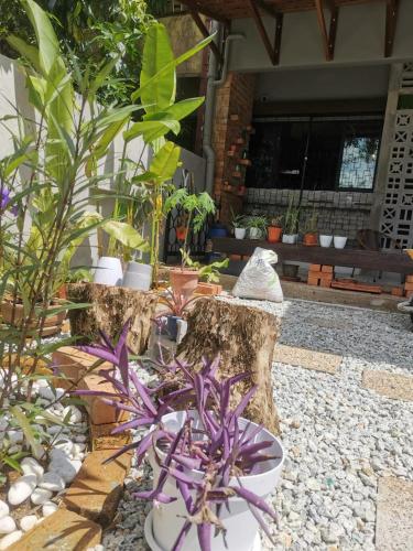 No.10 CLASSIC HOME 5BR6B free Wifi @SS2  PJ - image 11