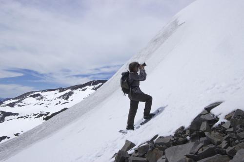 Chile Wild - Las Vertientes