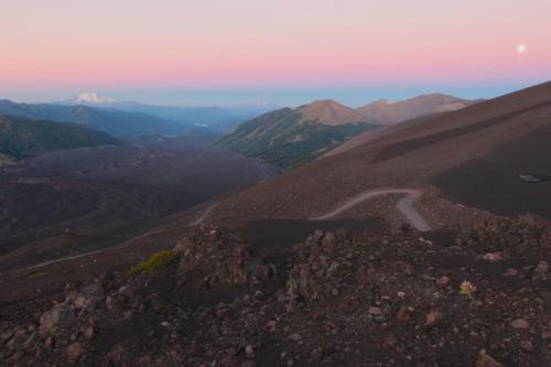Chile Wild - Las Vertientes