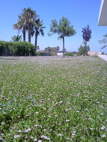 Family house with nice garden 10min from Sanlúcar Family house with nice garden 10min from Sanlúcar