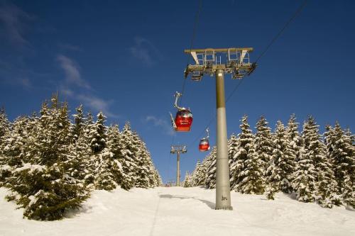 Apartment am Wurmberg 2 - Braunlage