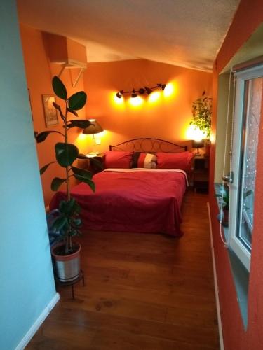 Maison Chopin in Gramat
