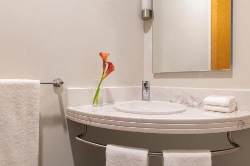 Standard Double Room image 6