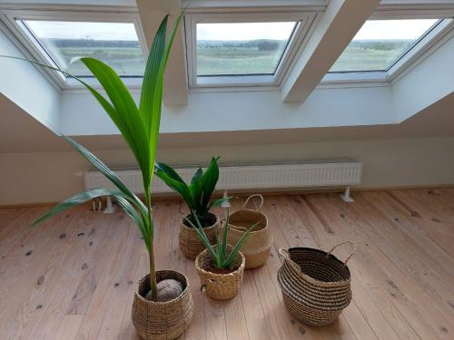 外部景觀, Entre Deux Eaux in 拉娜肯