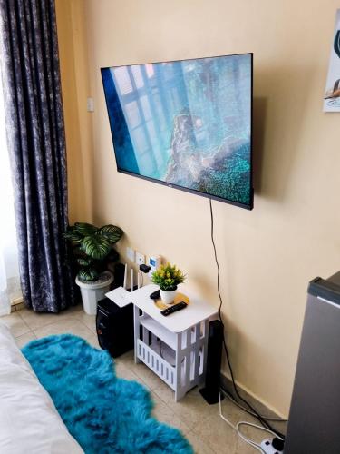 Cozy Ruaka Apartments