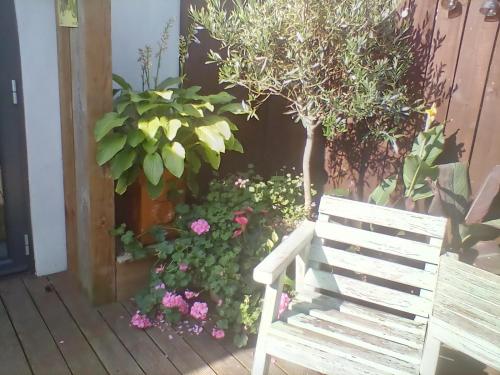 Facilities, Pinetree Lodge Druridge Bay in Broomhill