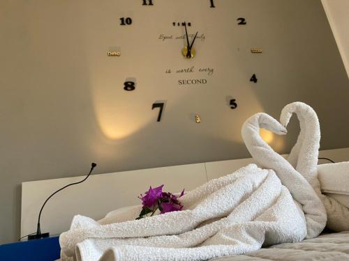 ProKite Alby Rondina - RESORT -