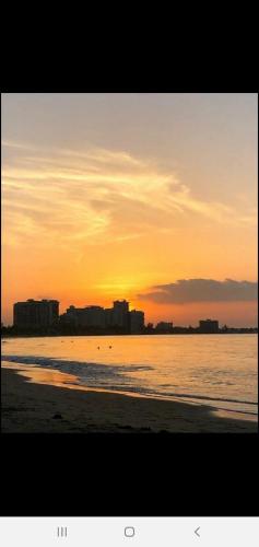 Ocean Pearl - image 7