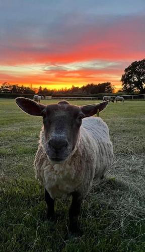 Sunset View a quiet and romantic rural retreat for 2 adults just outside ingleton