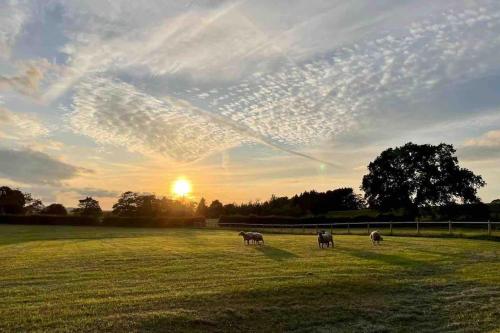 Sunset View a quiet and romantic rural retreat for 2 adults just outside ingleton