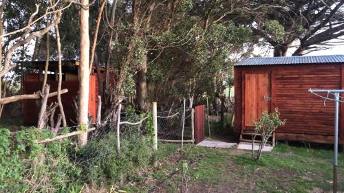 Suikerbekkie in Uilenkraal