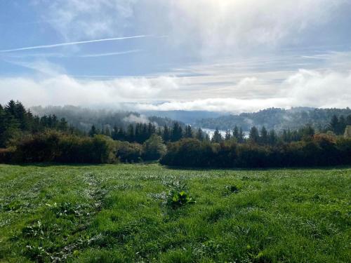 La grande marmite du lac de Vouglans