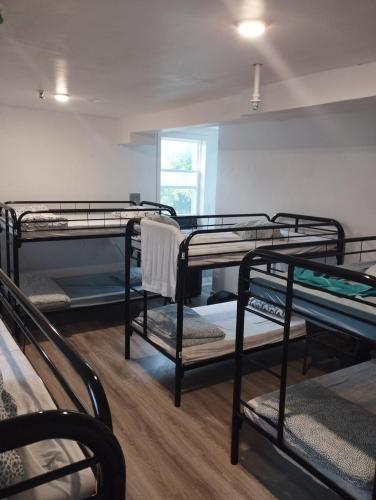 Bed in 10-Bed Mixed Dormitory Room