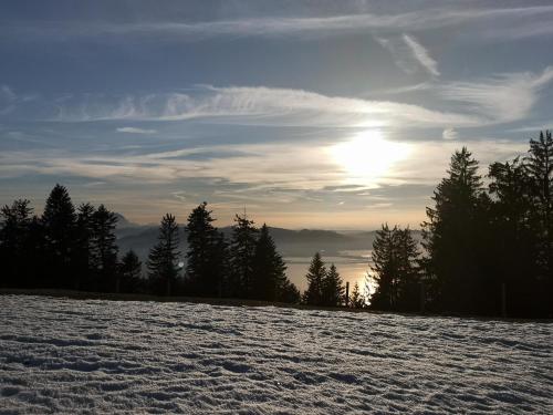 Loft über dem Bodensee