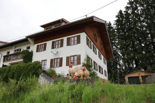 Grüntenblick in Weitnau, Deutschland