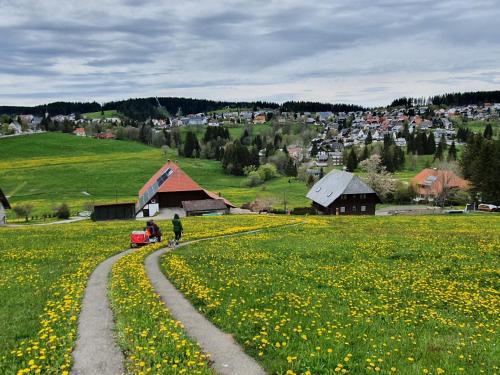 Ferienhaus-Schönwald im Herzen des Schwarzwaldes 1Zimmer-Wohnung+Terrasse App1