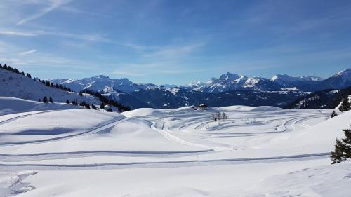 Appartement Samoëns les Espaces