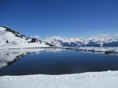 Appartement Samoëns les Espaces Samoëns