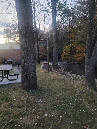 Economy Inn Sylva 2