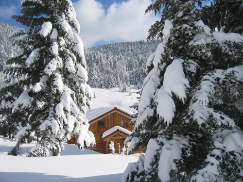 Le Couarôge Chalets et Appartements