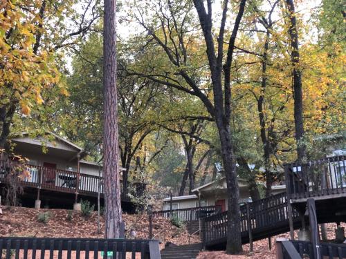 Yosemite Bug Rustic Mountain Resort