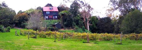 Quirky Woods - Glamping Cabins at Maketu - Accommodation
