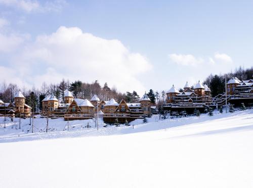 Korea Quality Elf Hotel