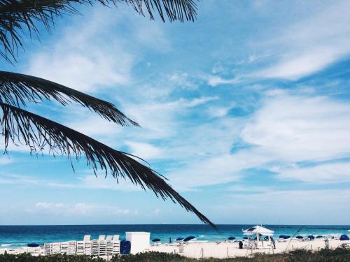 South of Fifth Ocean Drive Apt 4