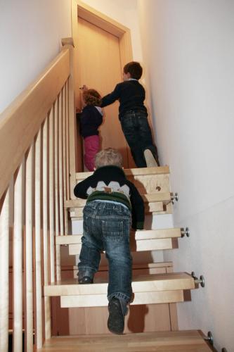 Bio-Bauernhof Samerhof - image 13