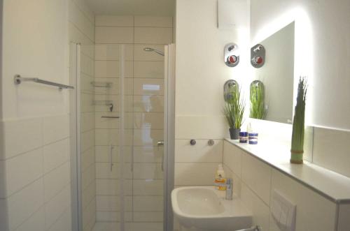 One-Bedroom Apartment with Terrace image 3