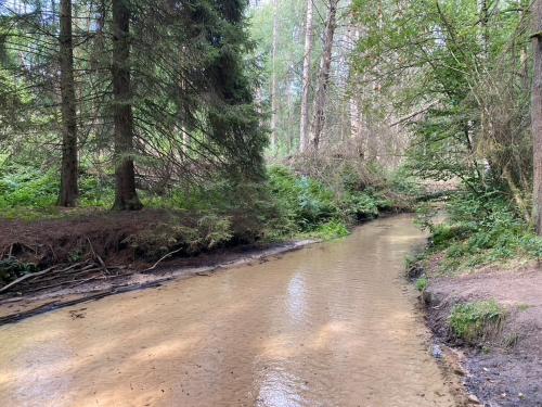 威斯曼维明图哥公寓酒店