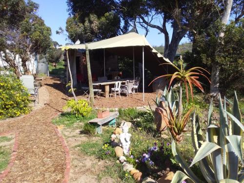 The Riverstone - Romantic Hideaway by the River - loadshedding free! The Riverstone - Romantic Hideaway by the River - loadshedding free!