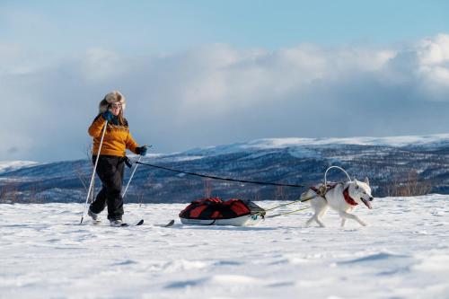 STF Hemavans Fjällcenter - image 14