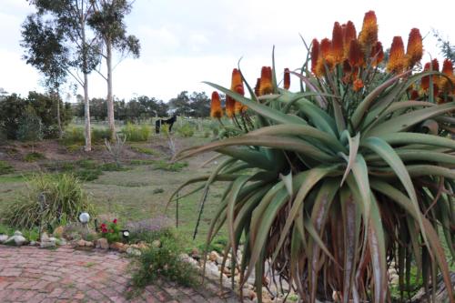 The Riverstone - Romantic Hideaway by the River - loadshedding free! The Riverstone - Romantic Hideaway by the River - loadshedding free!