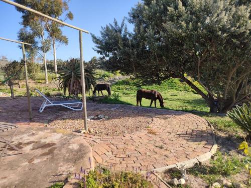 The Riverstone - Romantic Hideaway by the River - loadshedding free! The Riverstone - Romantic Hideaway by the River - loadshedding free!