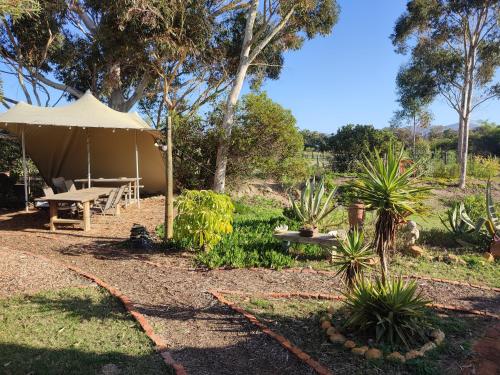 景觀, The Riverstone - Romantic Hideaway by the River - loadshedding free! in 納皮爾