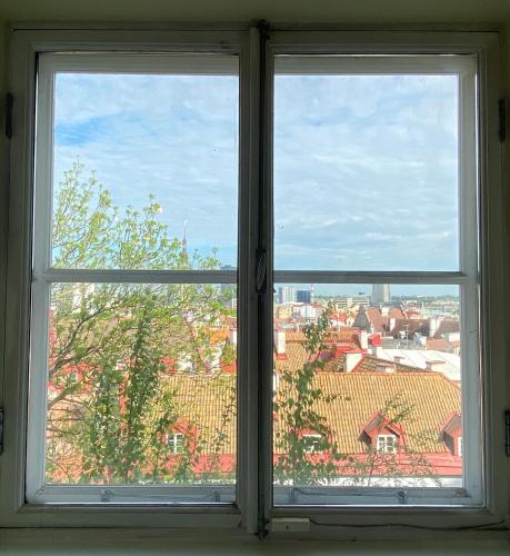 Studio Apartment image 10