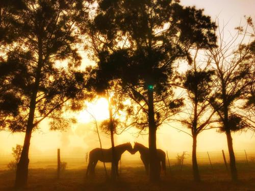 The Riverstone - Romantic Hideaway by the River - loadshedding free! The Riverstone - Romantic Hideaway by the River - loadshedding free!